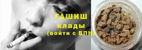 стаф Верея