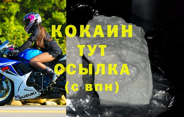 стаф Верея