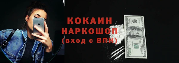 стаф Верея