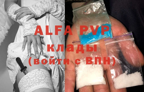 стаф Верея