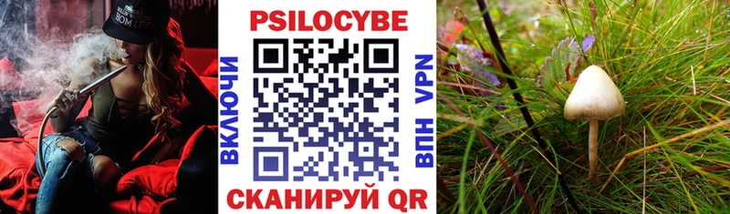 Псилоцибиновые грибы MAGIC MUSHROOMS  Купить где  Уварово 